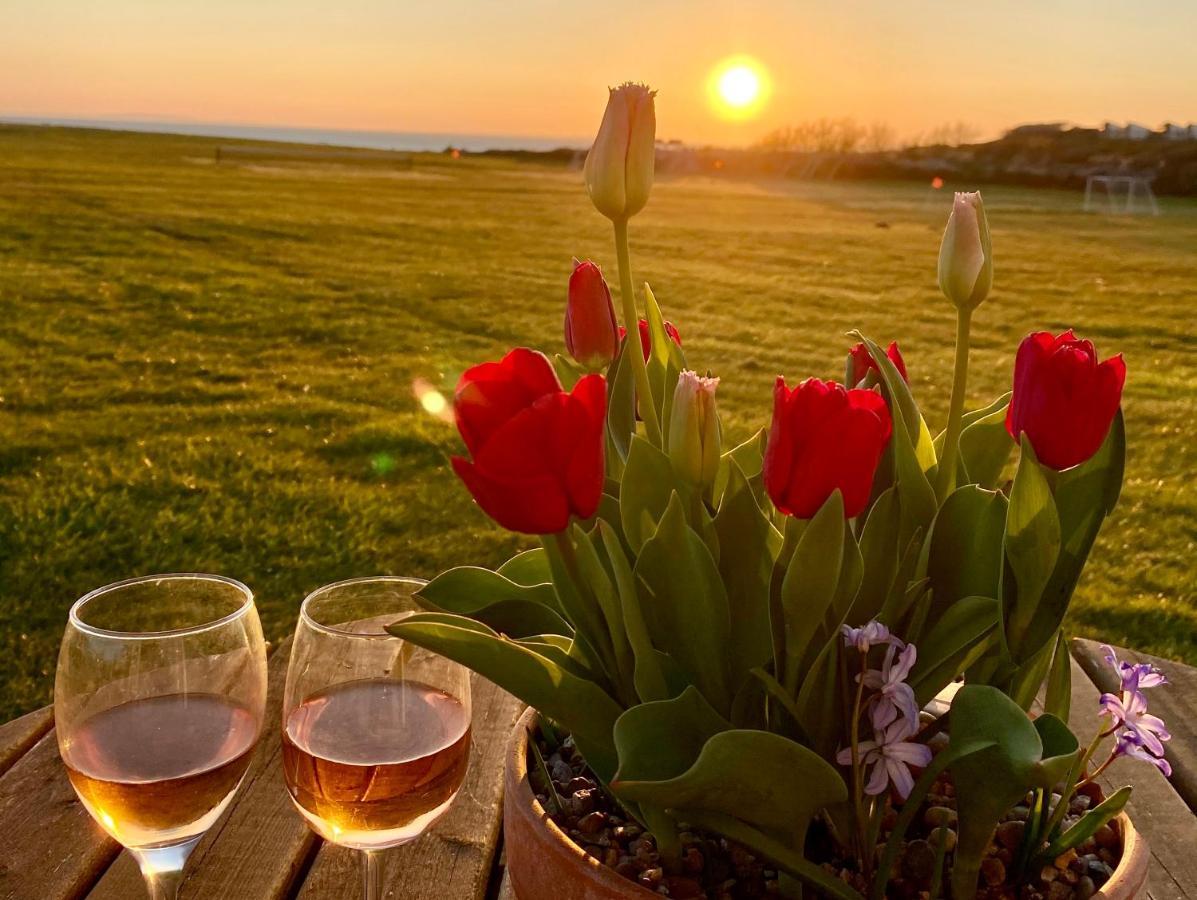 Bayview Self-Catering Coastal Bungalow In Rural West Wight فريشووتر المظهر الخارجي الصورة